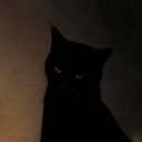 cocainesguger1 avatar