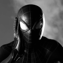 cockatiel-jpn avatar