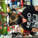 cockiesncreme avatar