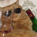 coco0915-blog1 avatar