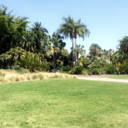 cocoabuttered avatar