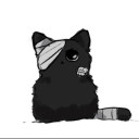 cocobarasblog avatar