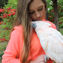 cococockatoo-blog avatar