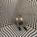 cococoopernichol avatar