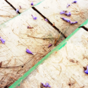 cococorazndpapl avatar