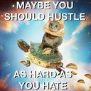 cocomagogo-panda avatar