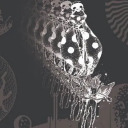 cocomelonfelon avatar