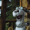 coconut-headd avatar