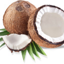 coconut12999 avatar