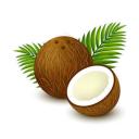 coconutaddict avatar