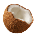 coconutcodes-blog avatar