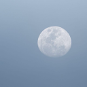 coconutrabbitt avatar