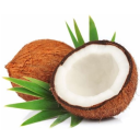 coconutsyndrome avatar