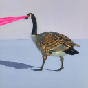 cocoon-of-filth avatar