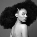 cocoshea-blog avatar