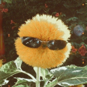 codependency-is-real avatar