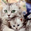 codeunderscore404dashcom avatar