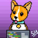 codingcorgi avatar