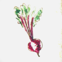 codmw-archive avatar