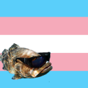 coelacat avatar
