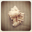 coeur-d-verre avatar