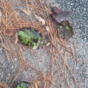 coeursetcolores avatar