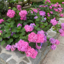 coffee-and-chem avatar