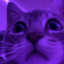 coffee-flavored-mochi avatar