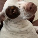 coffee-is-like-water-to-me512 avatar