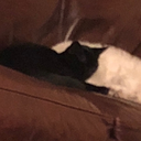 coffee-man-crypt avatar