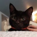 coffee-obsessed-freak avatar