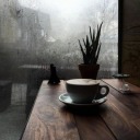 coffee-rain-music avatar