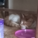 coffee-yes-please avatar