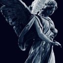 coffeeandautumn avatar