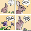 coffeeandcinnamonrolls avatar