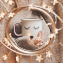 coffeeandfriends avatar