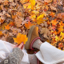 coffeeandonuts avatar