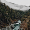 coffeeandpine avatar