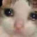 coffeeandtearss avatar