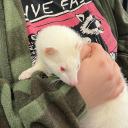 coffeeecryptid avatar