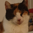 coffeegrinderbamboozler avatar