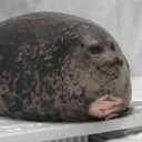 coffeeloversposts avatar