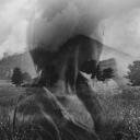 coffeenwander avatar