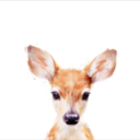 coffeesaltandsea avatar