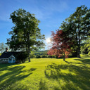 coffeeshop-daydreams avatar