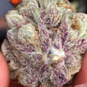 coffeeshop1ehulp avatar