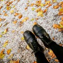 coffeesnumber1fan avatar