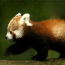 coffeewasamistake avatar