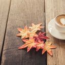 coffeewineautumn avatar