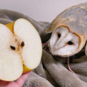 coffeexcigarette avatar